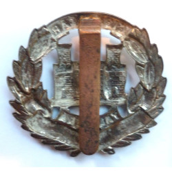 WW2 The Devonshire Regiment Badge British Army