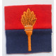 French 5° RI Navarre San Peur Infantry Regiment Badge