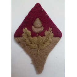 Worcestershire Regiment Shoulder Title